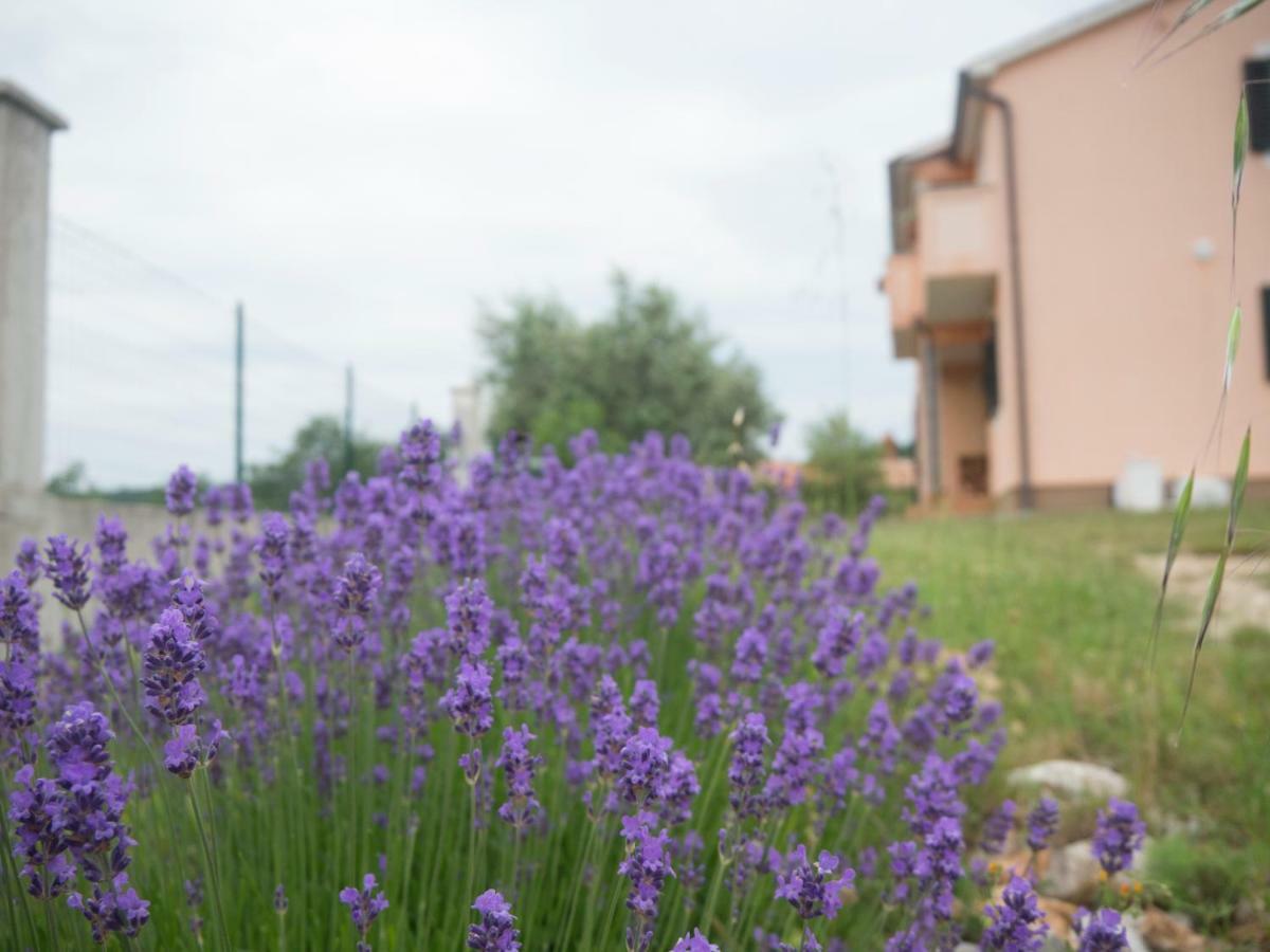 Apartment Lavandula Labin  Exterior photo